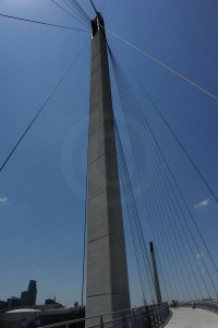 81    