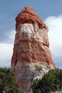 85    
