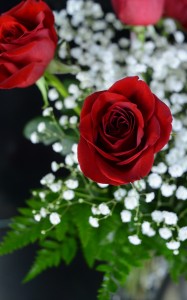 S0205Florist9